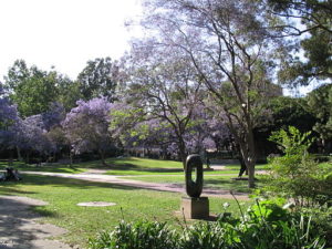 UCLA Sculpture Garden